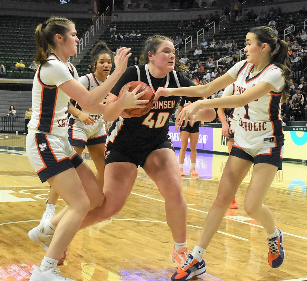 Vote for the Daily Telegram Girls Basketball Player of the Year
