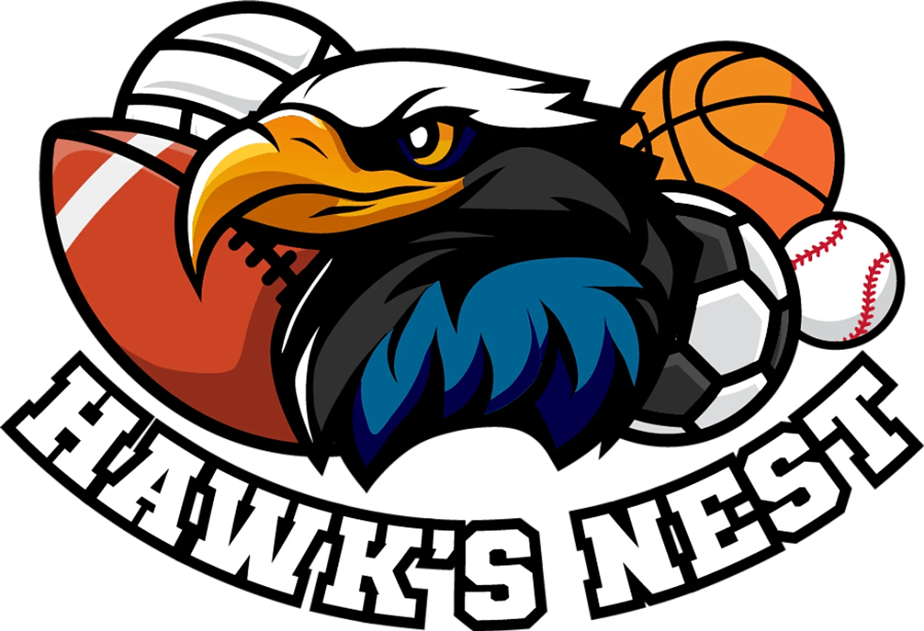 Hawk’s Nest: Bucs Head Coach Will Healy on preseason prep, Hall of Fame NASCAR Reporter Deb Williams talks Food City 500