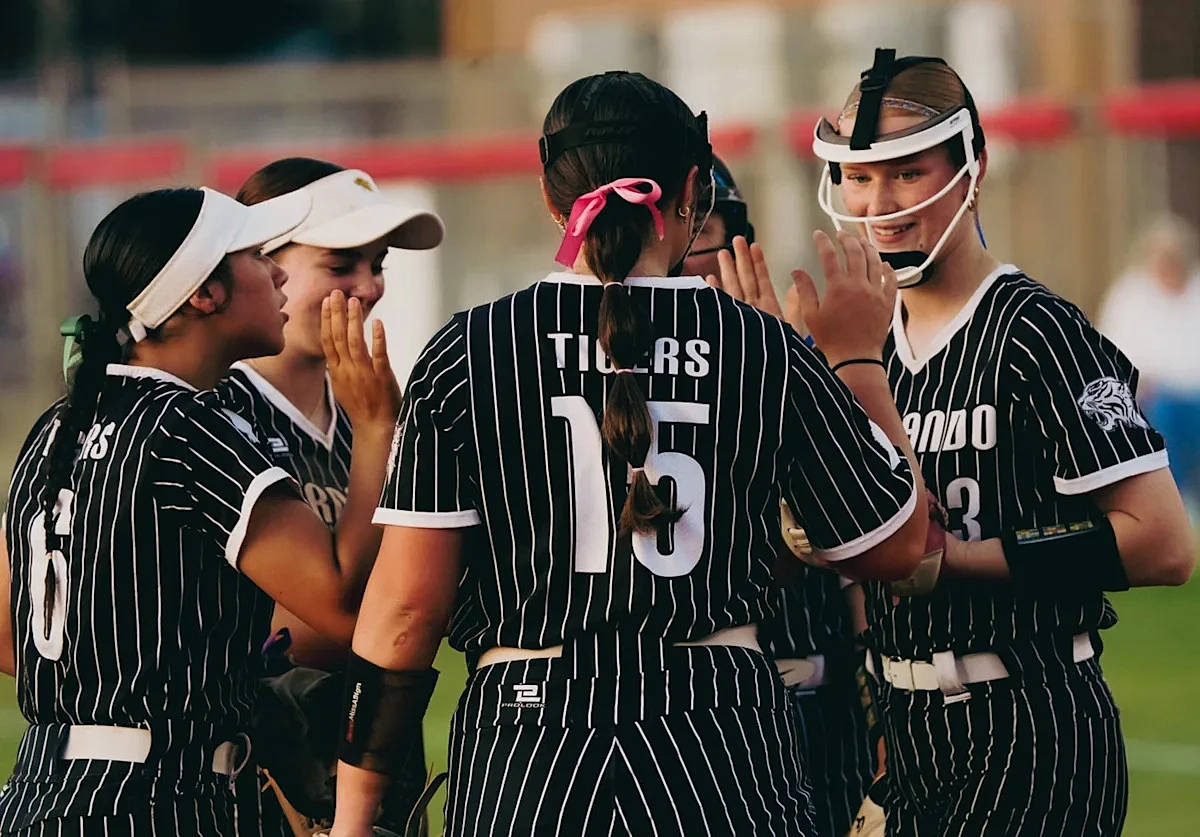 Vote for Memphis area's top high school softball player at TSSAA midseason