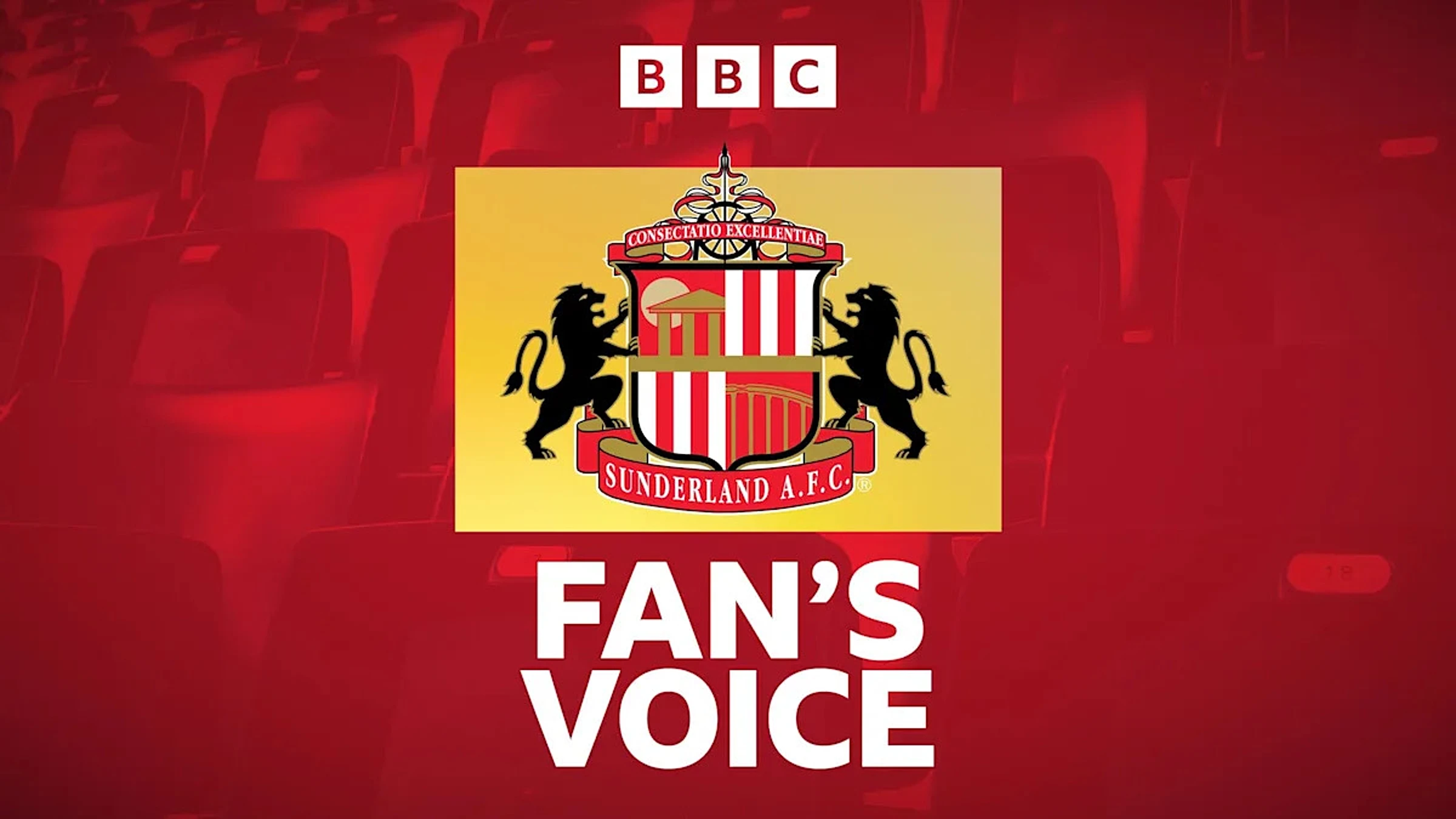 Sunderland 'have momentum and no fear' in quest for Europe