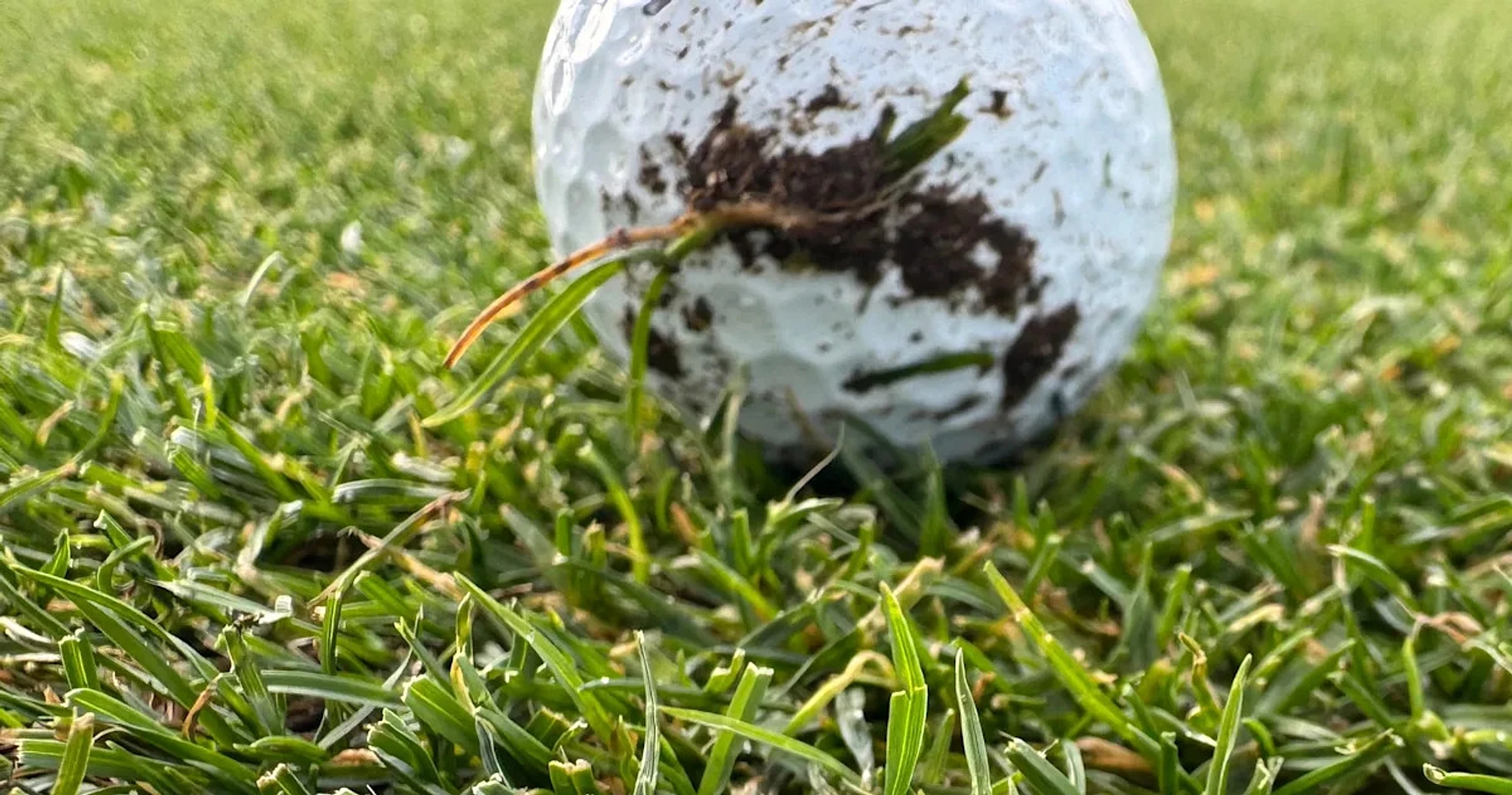Mud balls a hot topic at soggy Chevron Championship