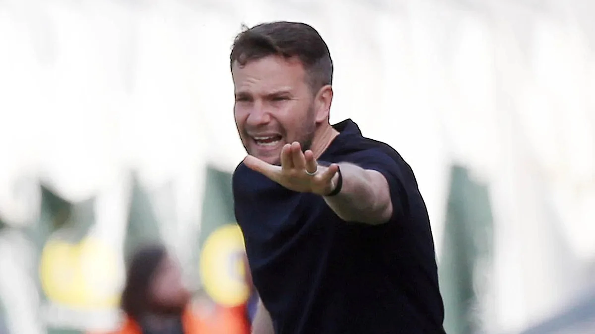 Cleverley 'loving' Plymouth Argyle play-off push