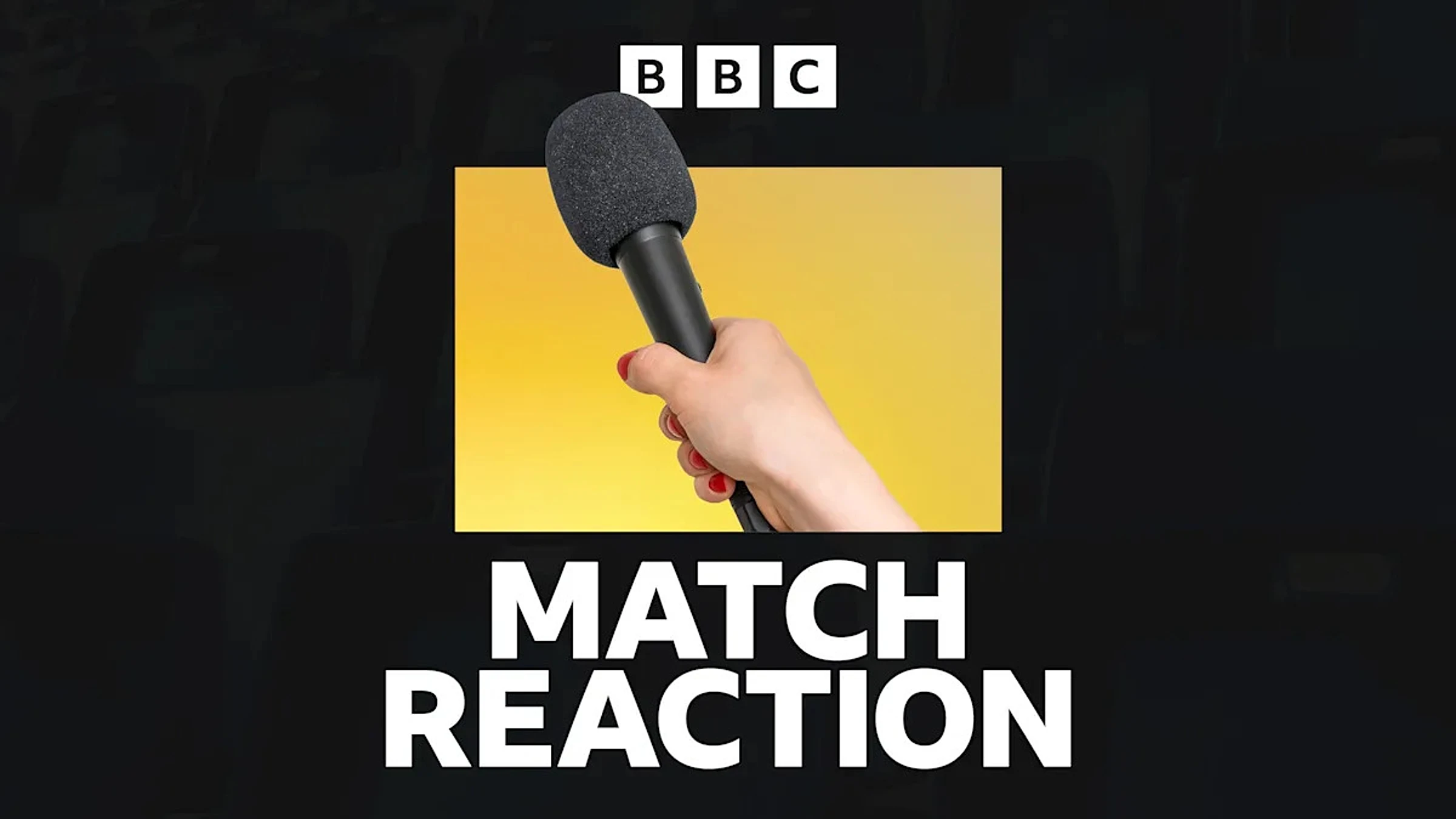Brighton 3-0 Wolves: What Edwards said