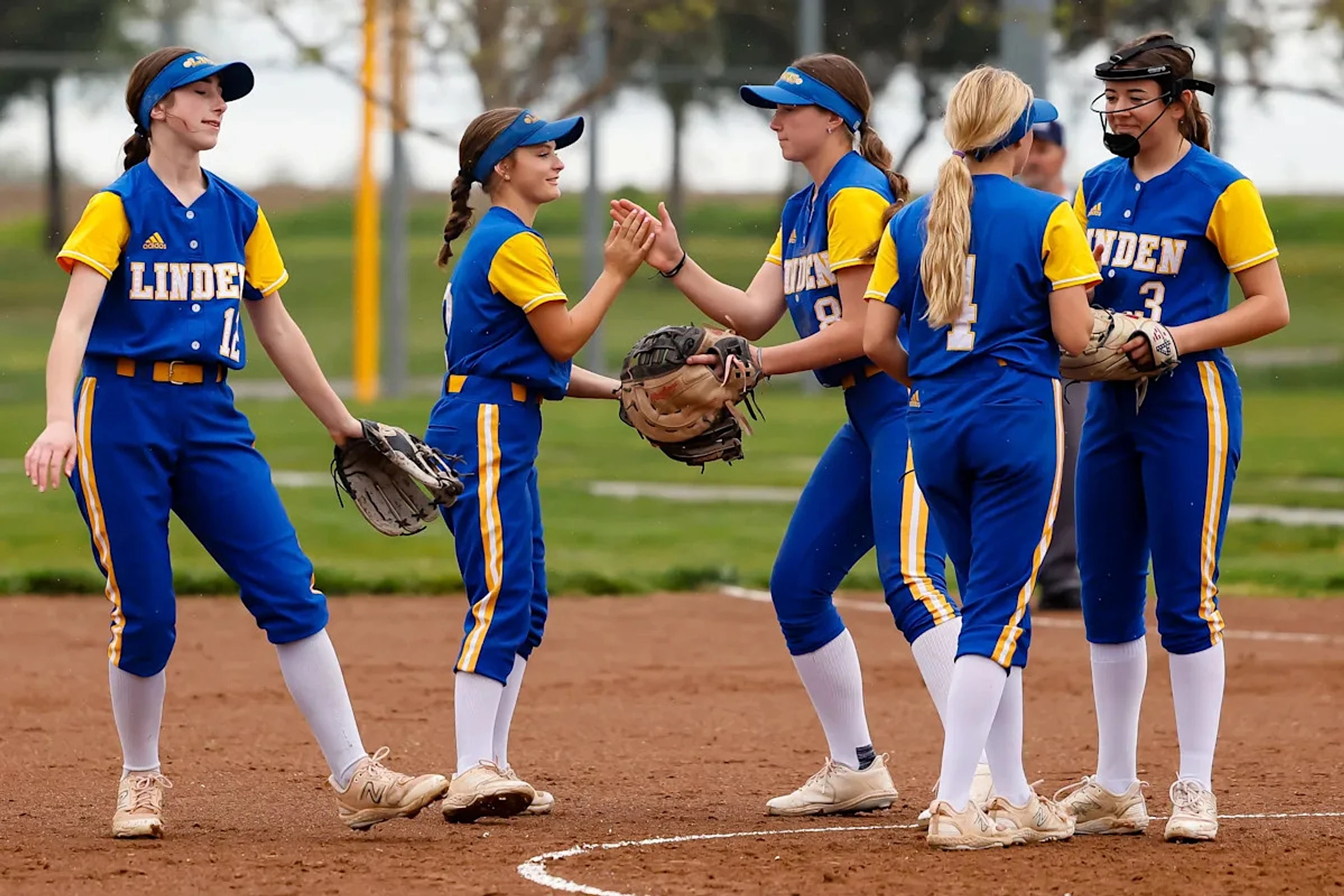 San Joaquin County softball playoffs: CIF SJS first-round recap, results