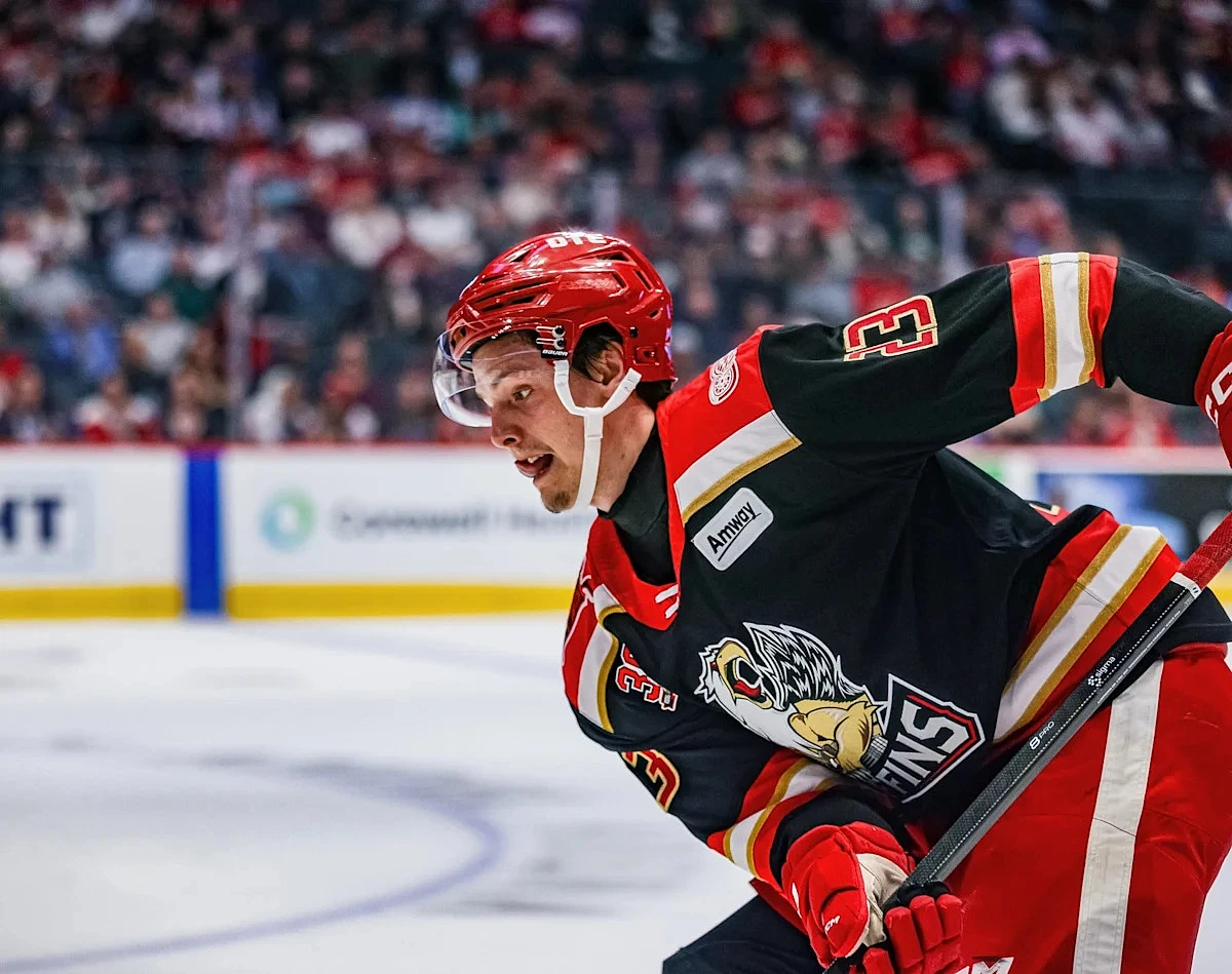 Red Wings Other Johansson Could Also be in Detroit Soon