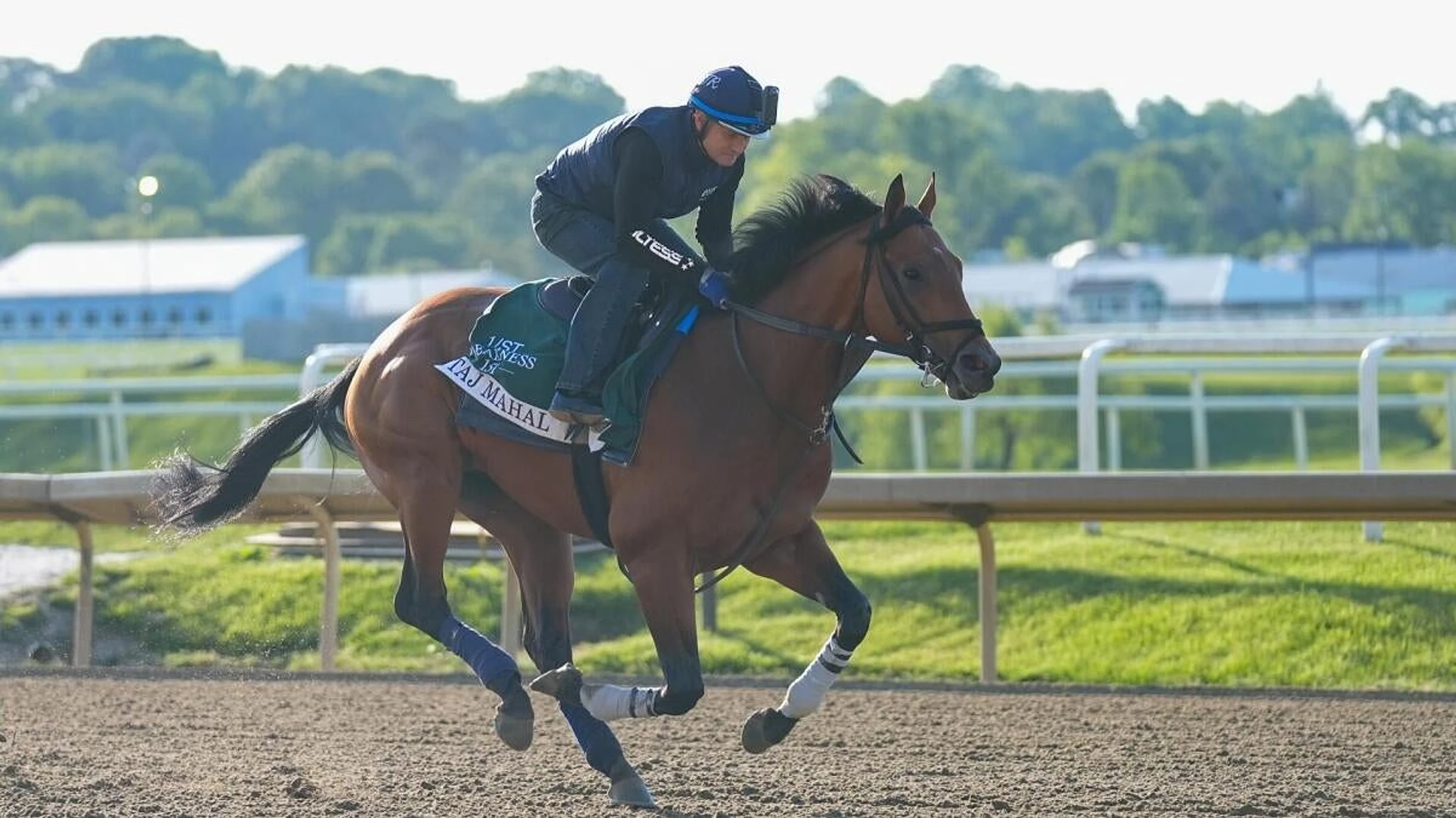 2026 Preakness Stakes predictions, horses, odds, posts: Surprising picks from proven horse racing expert